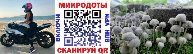 Галлюциногенные грибы Cubensis Якутск